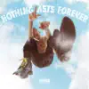 BOXBOY - NOTHING LASTS FOREVER - Single